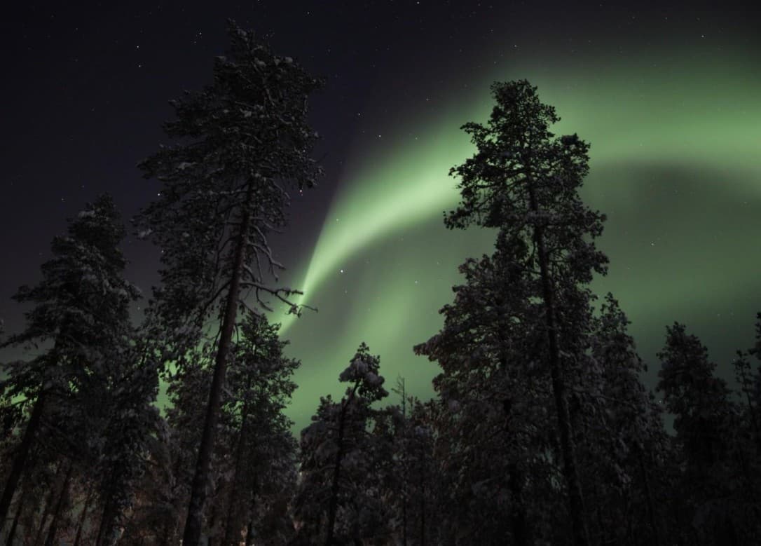 Wann ist die beste Zeit für Nordlichter? (Ehrliche Antwort)